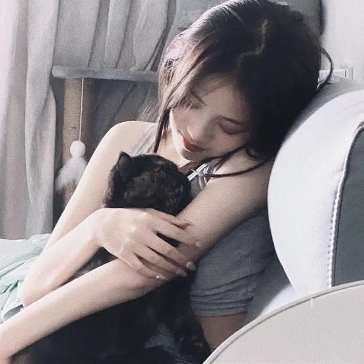 动物园生活海报